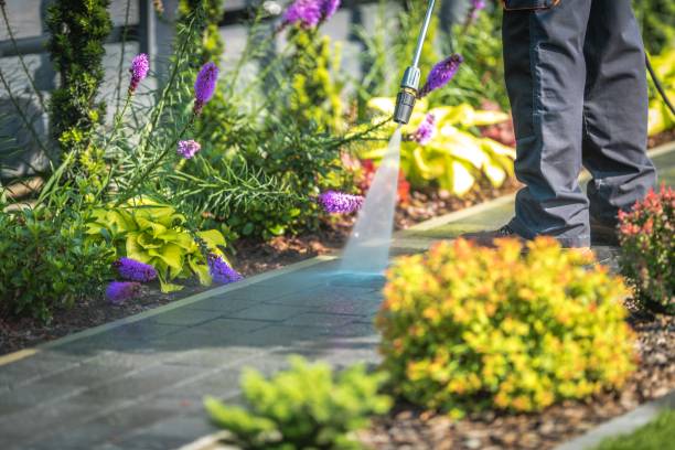 Best Dumpster Area Cleaning  in Walnut Creek, OH